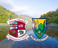 Wicklow senior football player trials