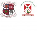 Kiltegan Challenge Match