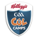 Kellogg’s Cúl Camp